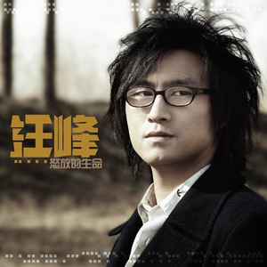 安全高端小狼导航
