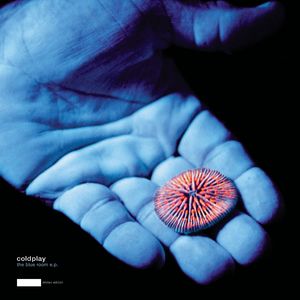 安全高端小狼导航
