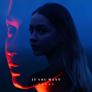 安全高端小狼导航
