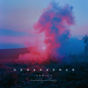 安全高端小狼导航
